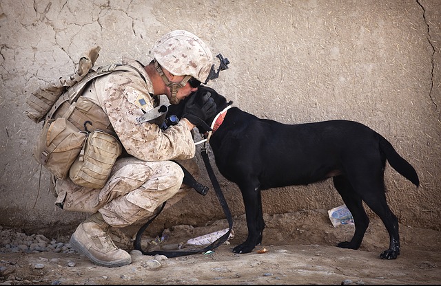 vojak a pes.jpg